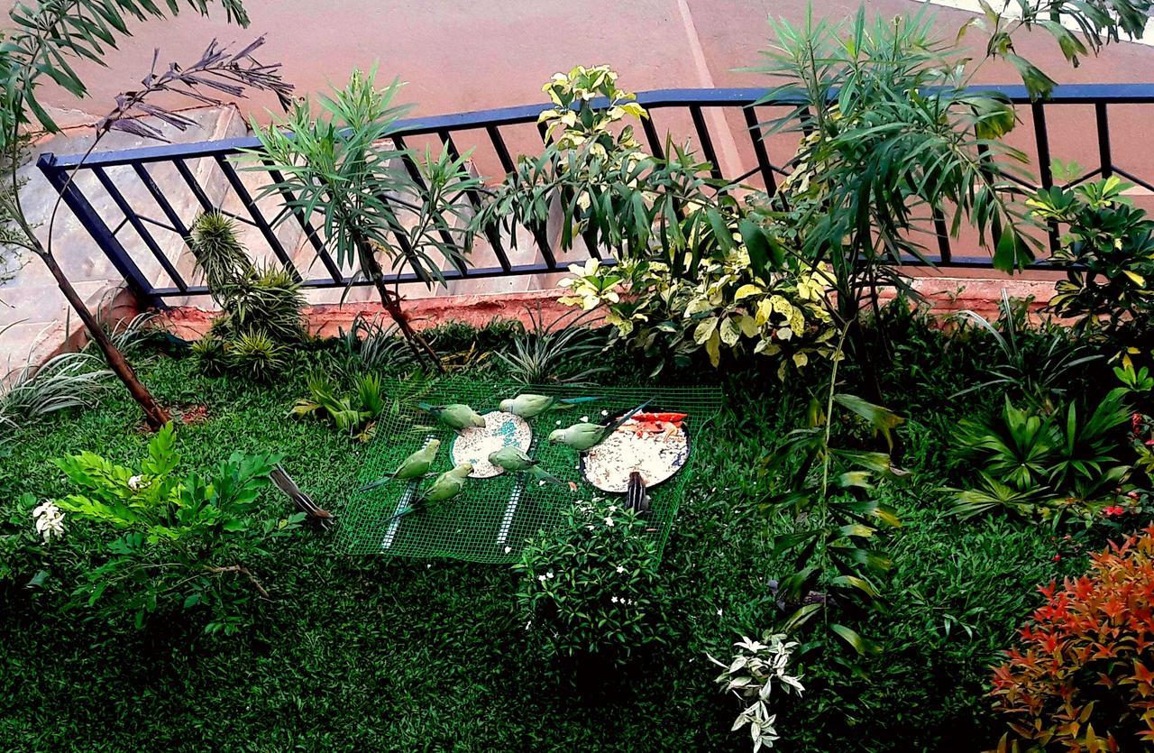 Saru Holiday Apartment - Up To 6 Guests แคนดี้ ภายนอก รูปภาพ
